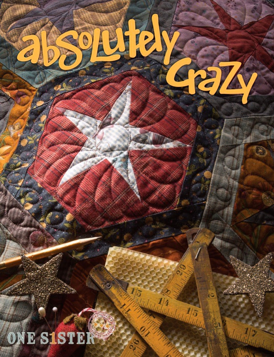 Absolutely Crazy - Softcover by Janet Nesbitt