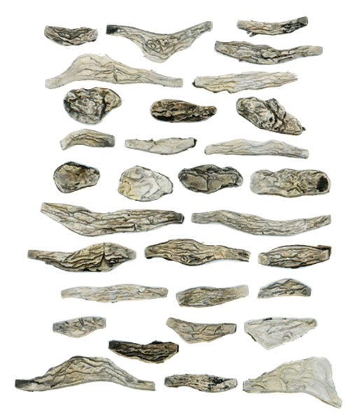 Creek Bed Rocks - Ready Rocks -- 31 Pieces