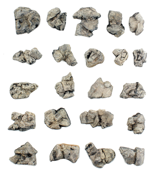 Boulders - Ready Rocks -- 22 Pieces