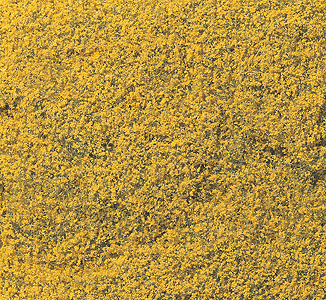 Flowering Foliage™ - 100 Square In645 Square Cm -- Yellow