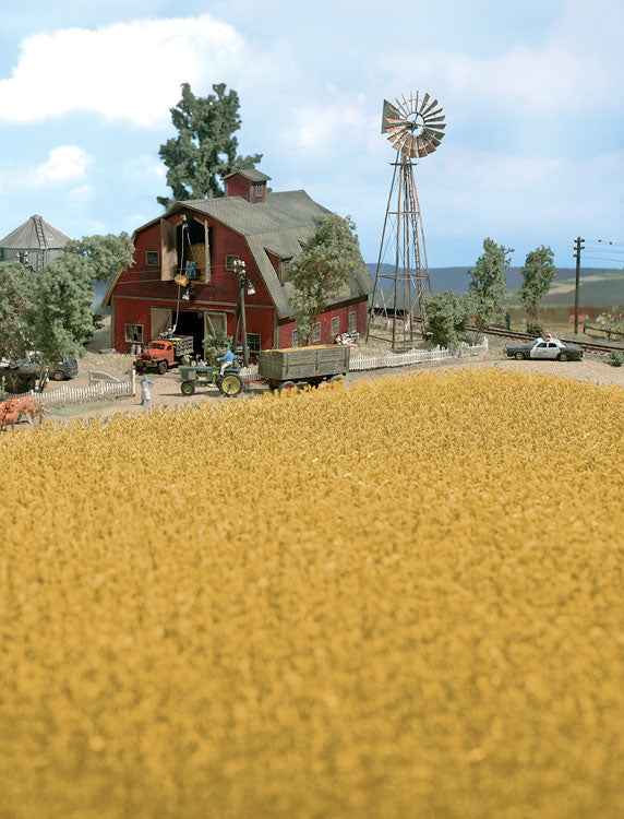 Harvest Corn Field -- Brown