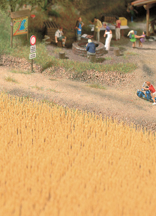 Harvest Wheat Field -- Brown