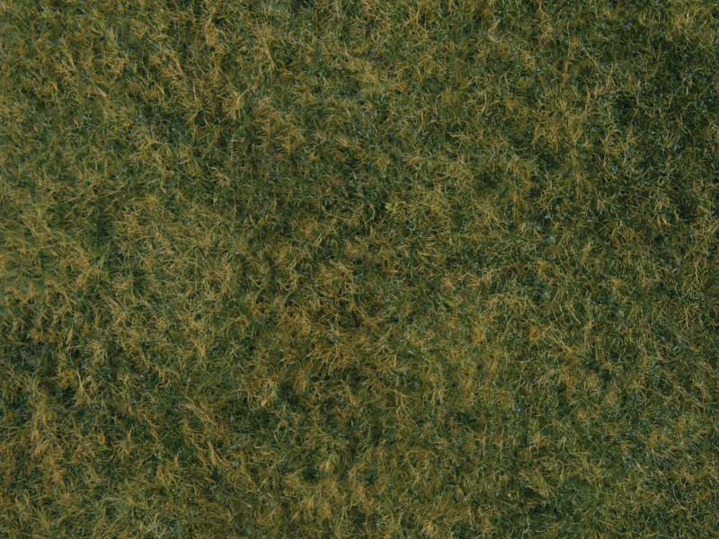 Tear & Plant Tall Grass -- Light Green - Measures 7-7/8 x 9"20 x 23cm