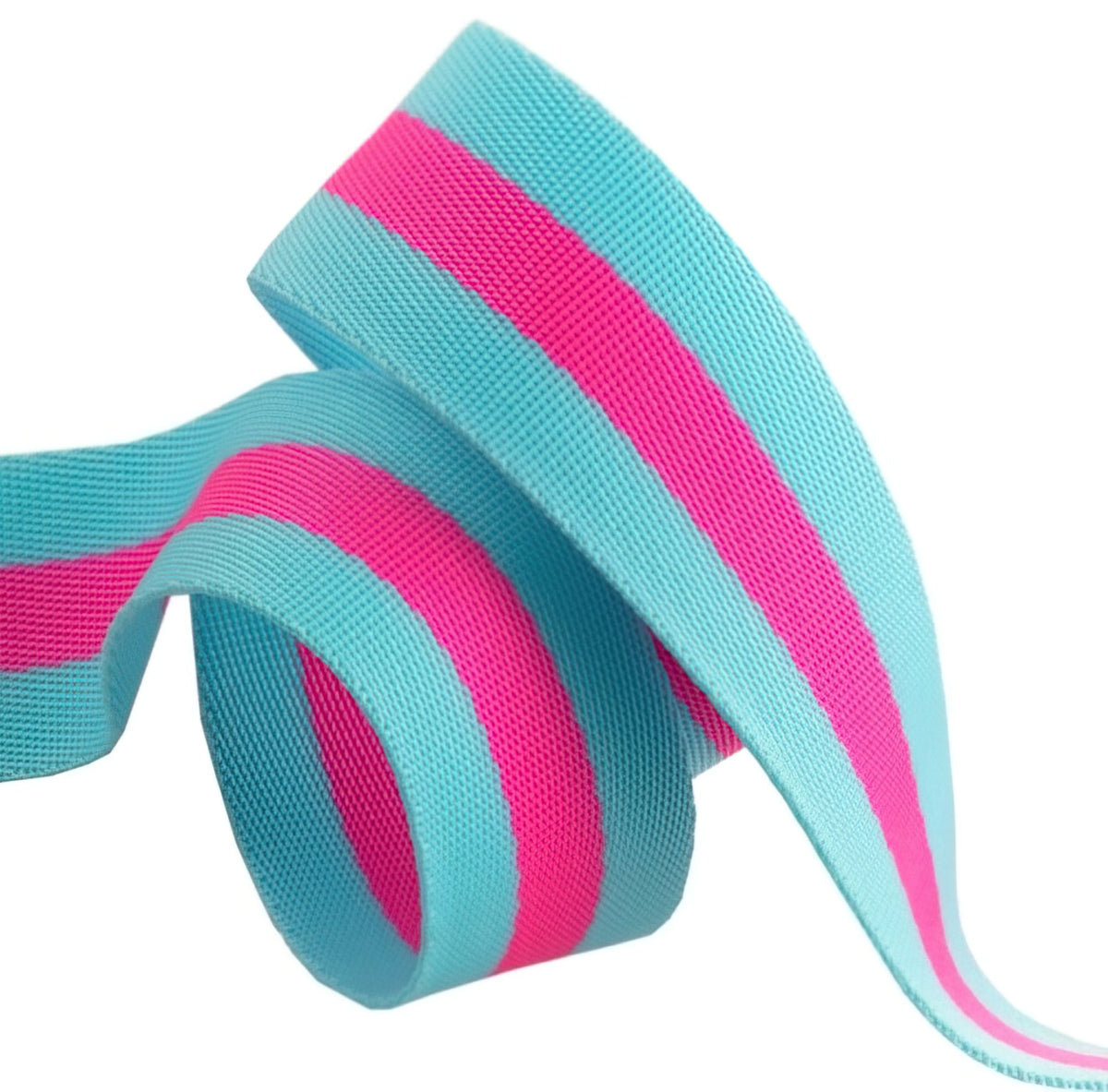 Tula Pink Webbing 2yd x 1.5in - Aqua and Hot Pink