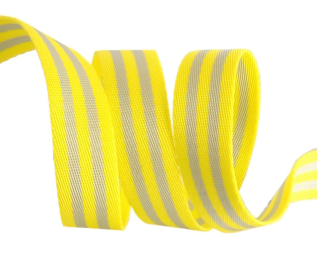 Tula Pink Webbing 2yd x 1in - Grey and Lime